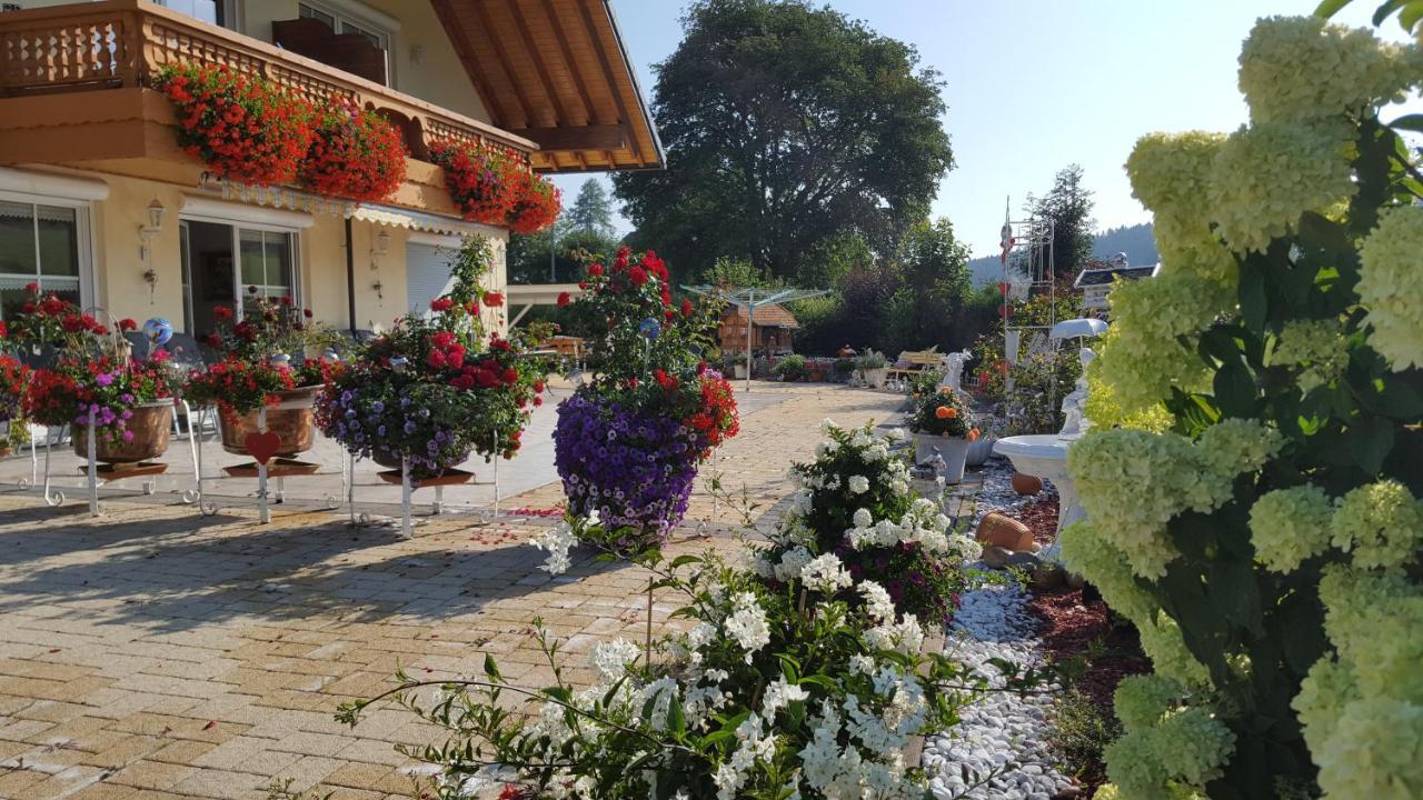 Appartement Rehblick Eisenbach  Dış mekan fotoğraf