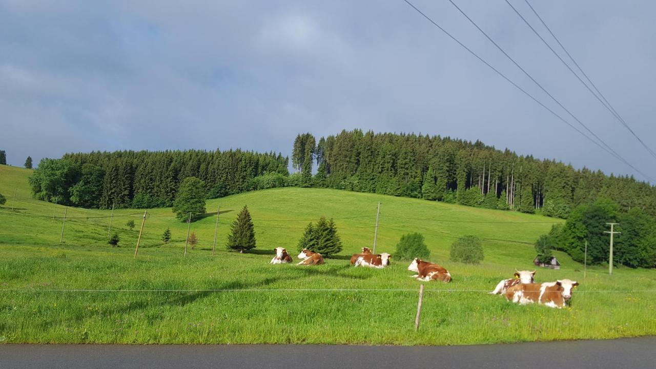 Appartement Rehblick Eisenbach  Dış mekan fotoğraf