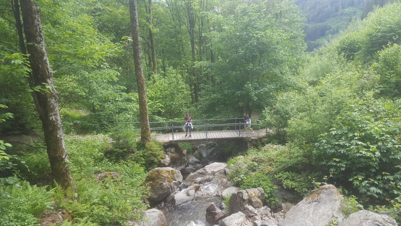 Appartement Rehblick Eisenbach  Dış mekan fotoğraf