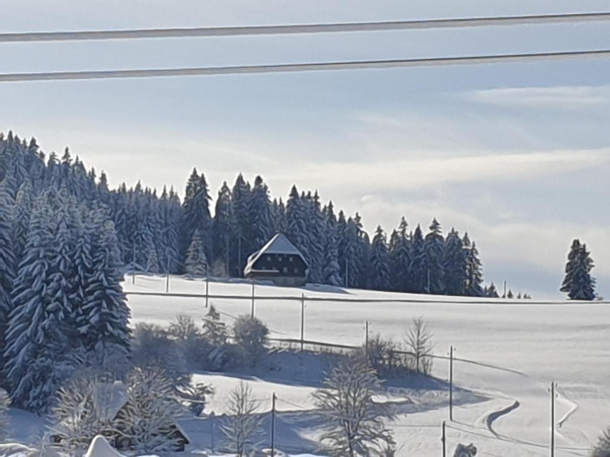 Appartement Rehblick Eisenbach  Dış mekan fotoğraf