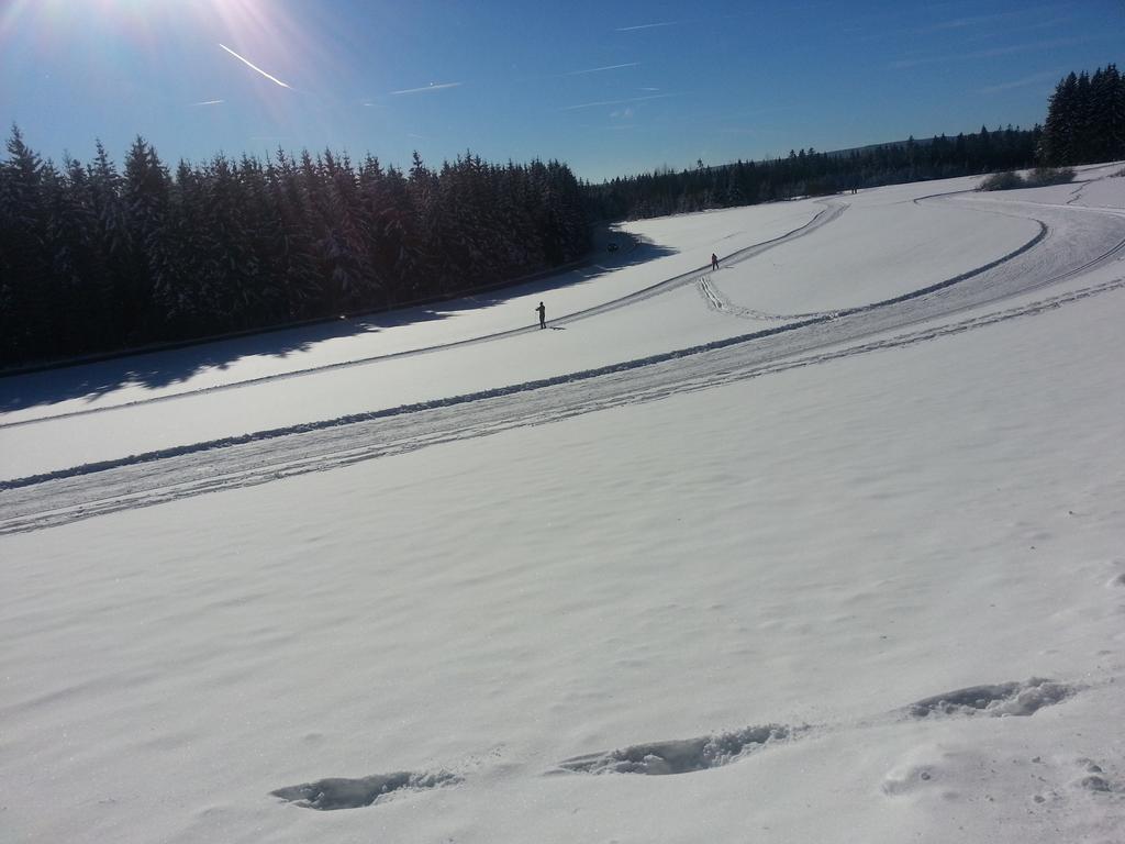 Appartement Rehblick Eisenbach  Oda fotoğraf