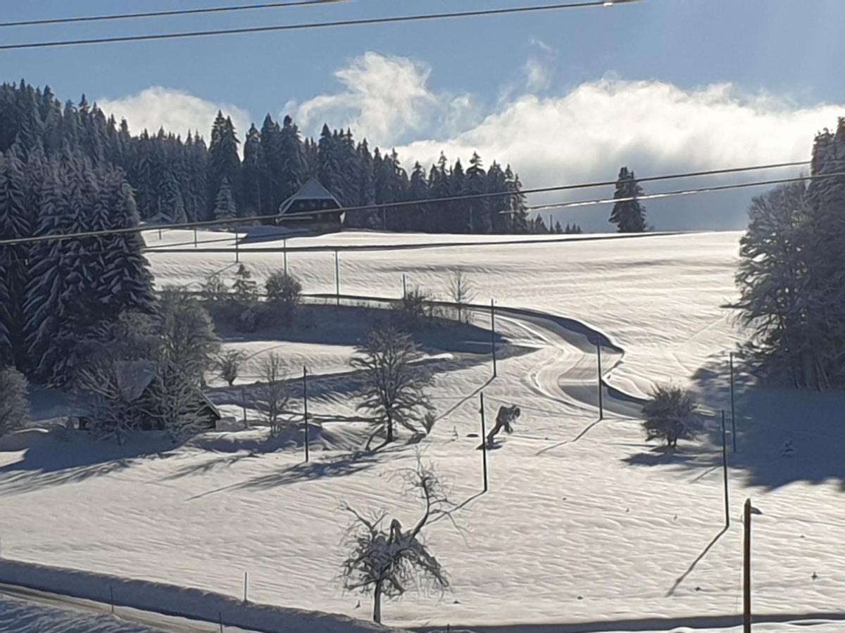 Appartement Rehblick Eisenbach  Dış mekan fotoğraf