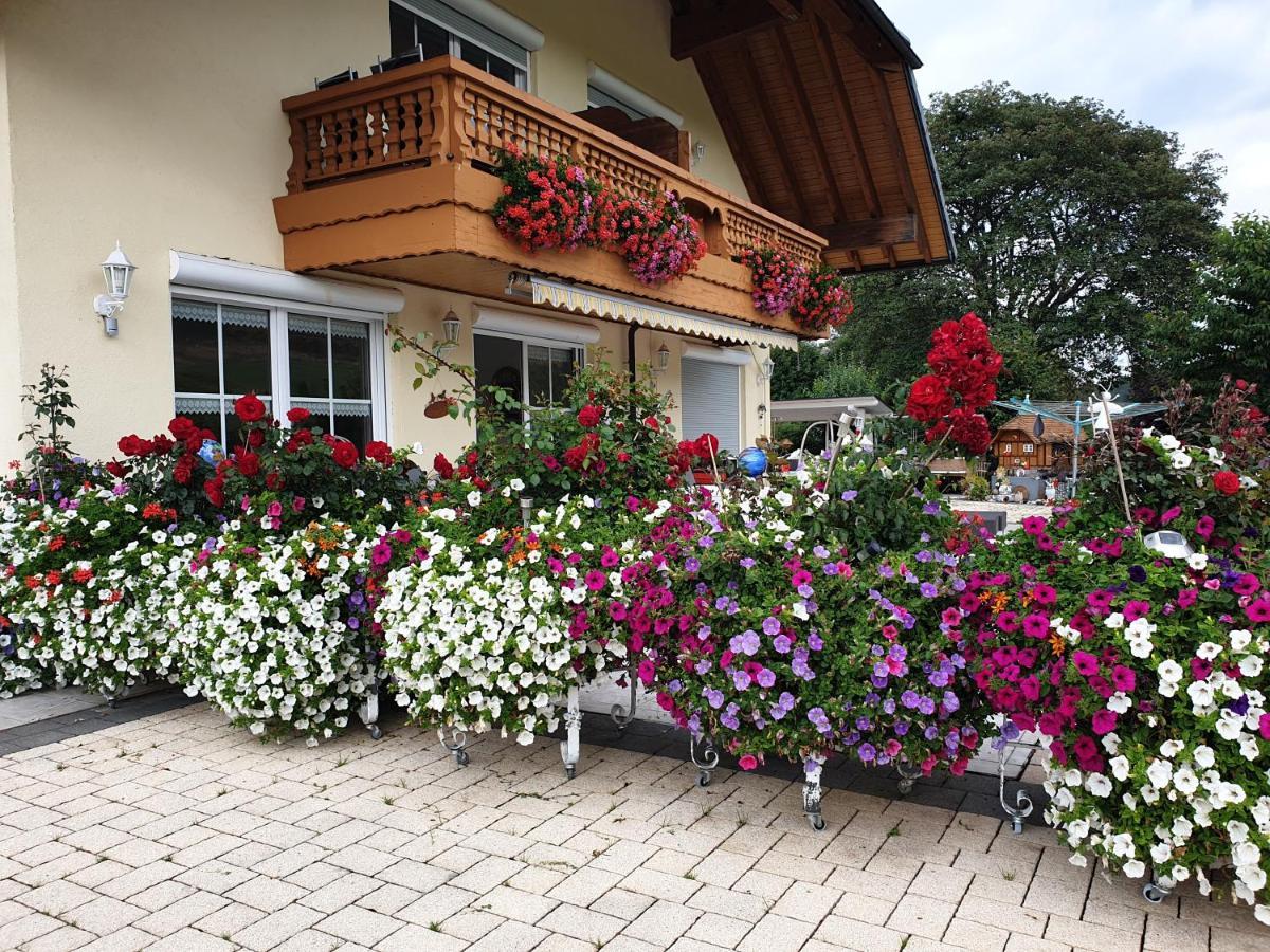 Appartement Rehblick Eisenbach  Dış mekan fotoğraf
