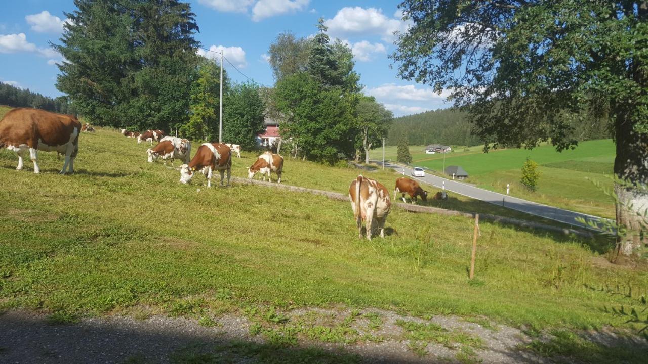 Appartement Rehblick Eisenbach  Dış mekan fotoğraf
