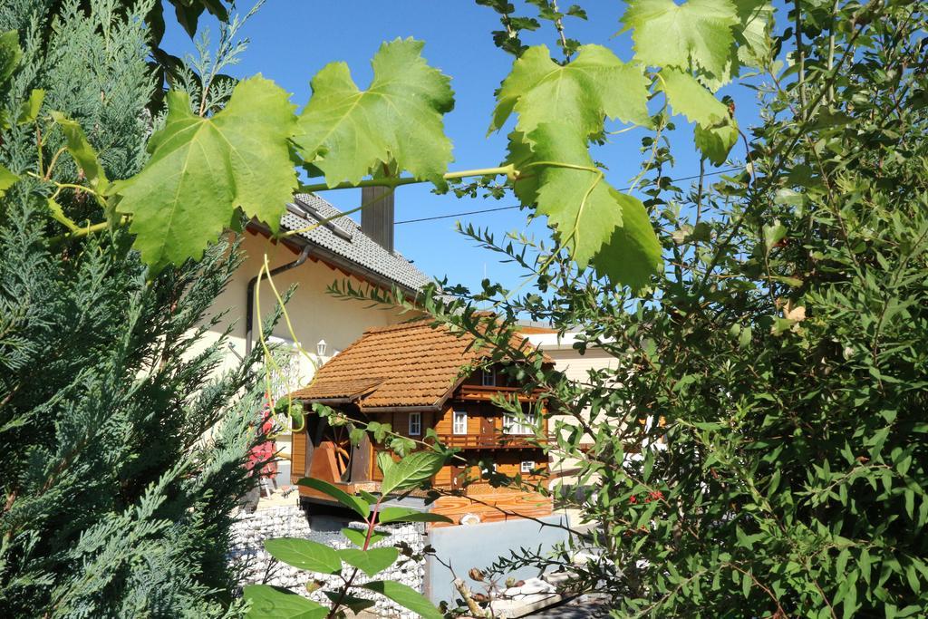 Appartement Rehblick Eisenbach  Dış mekan fotoğraf