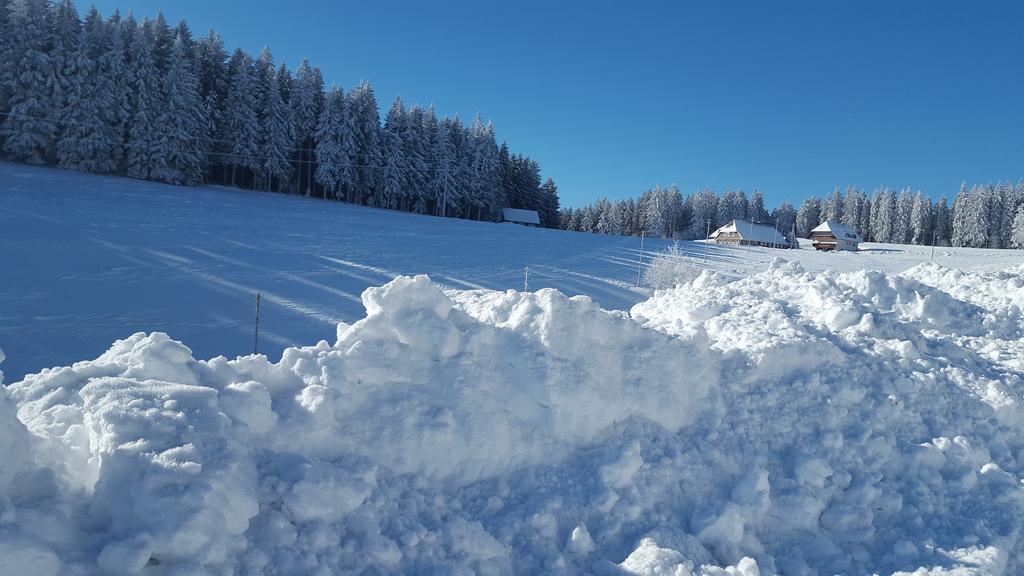 Appartement Rehblick Eisenbach  Dış mekan fotoğraf