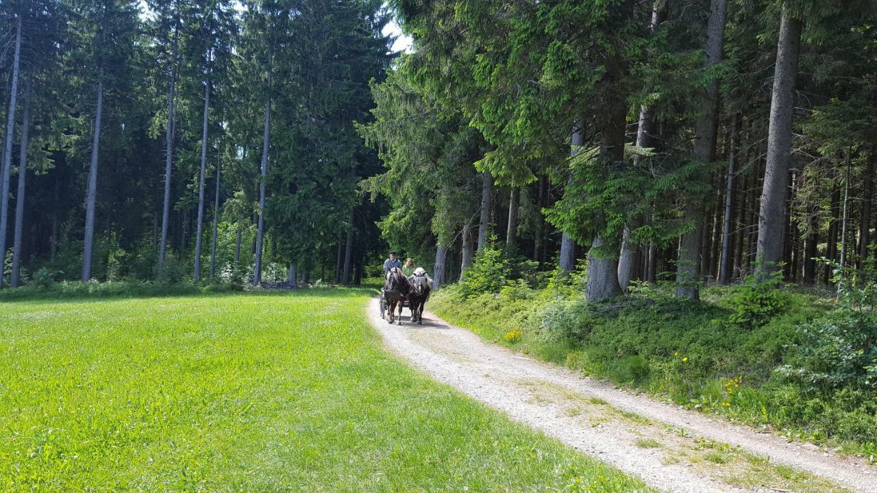 Appartement Rehblick Eisenbach  Dış mekan fotoğraf