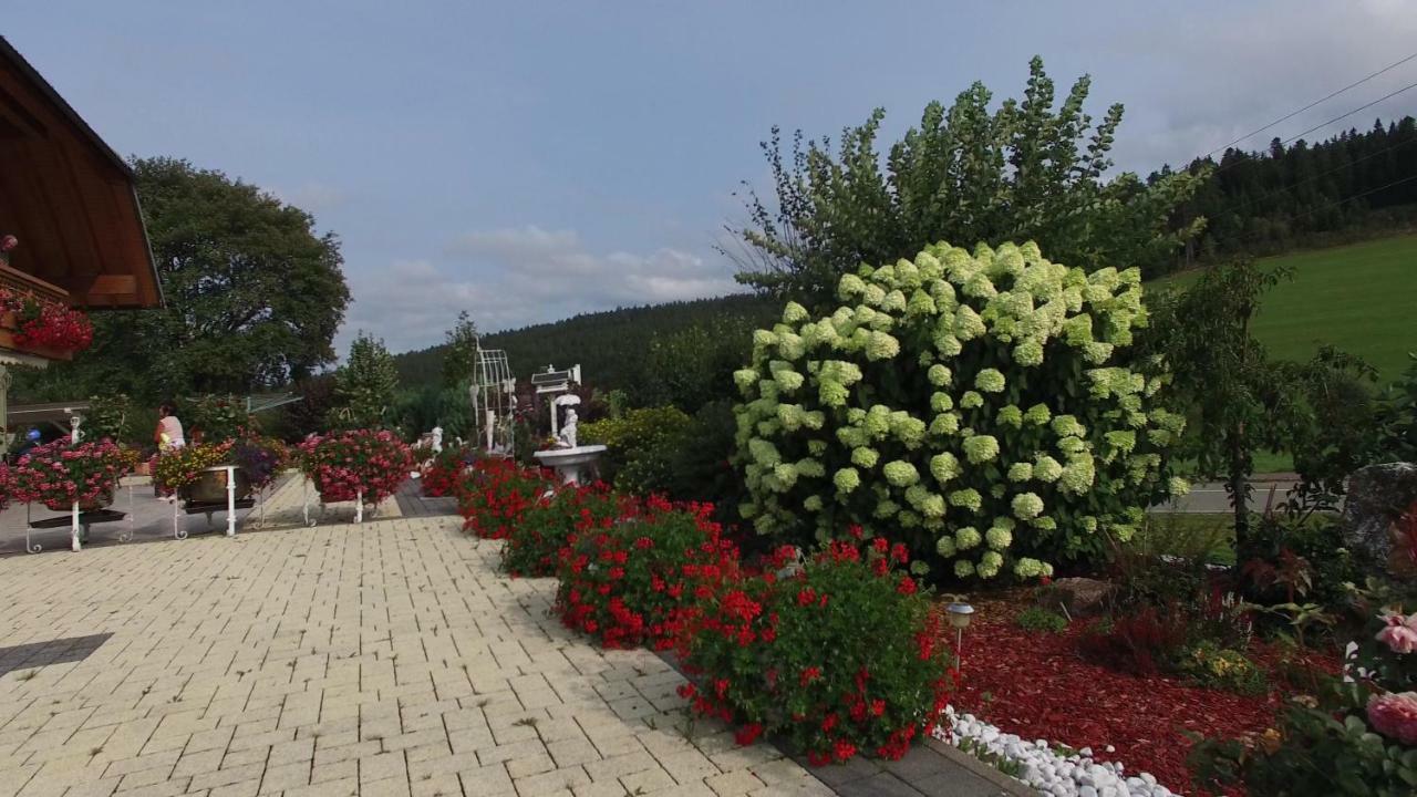 Appartement Rehblick Eisenbach  Dış mekan fotoğraf